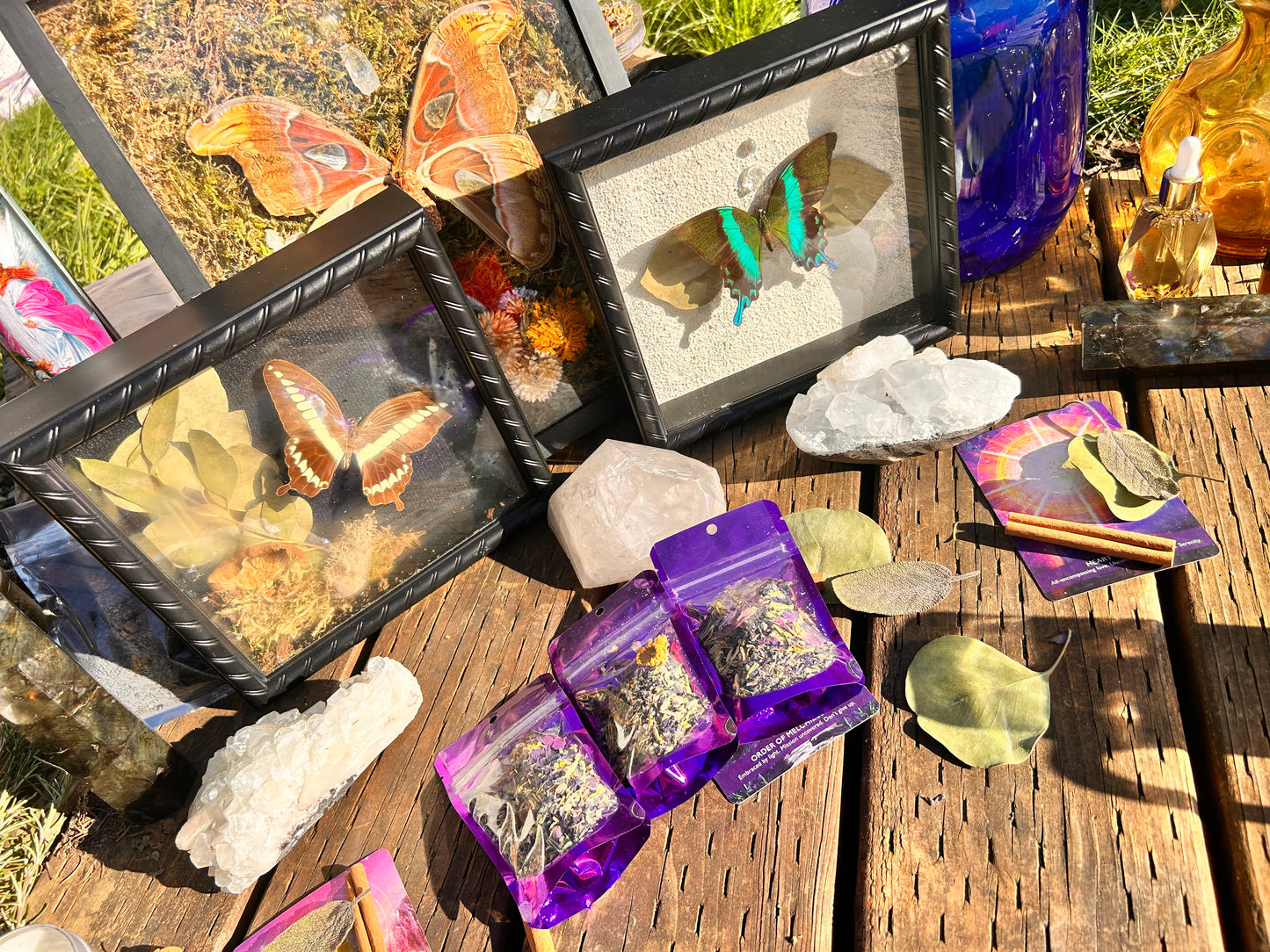 METAMORPHOSIS- TEA 🦋